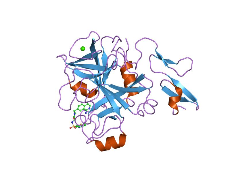 File:PDB 1f0r EBI.jpg