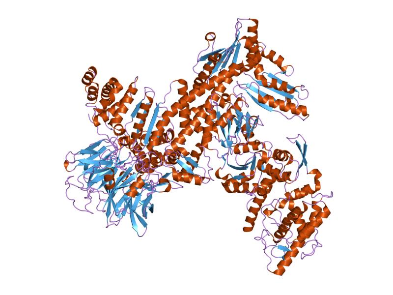 File:PDB 1k8k EBI.jpg