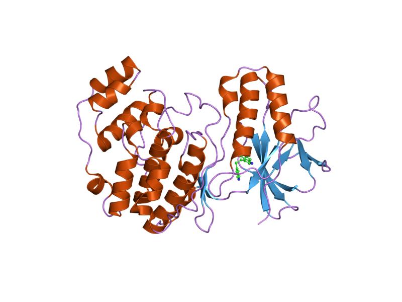 File:PDB 1w84 EBI.jpg