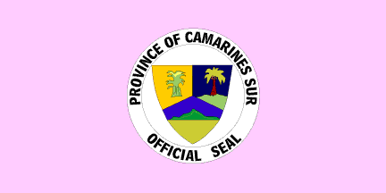 File:Vlag Fil CamarinesSur.gif