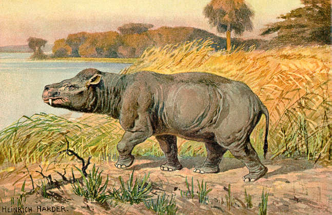 File:Coryphodon.jpg