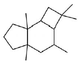 Archivo:PUNCTAPORONANO - Estructura.png