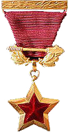 File:Gold Star Hero CSSR.png