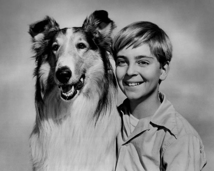 File:Lassie Tommy Rettig Circa 1955.jpg