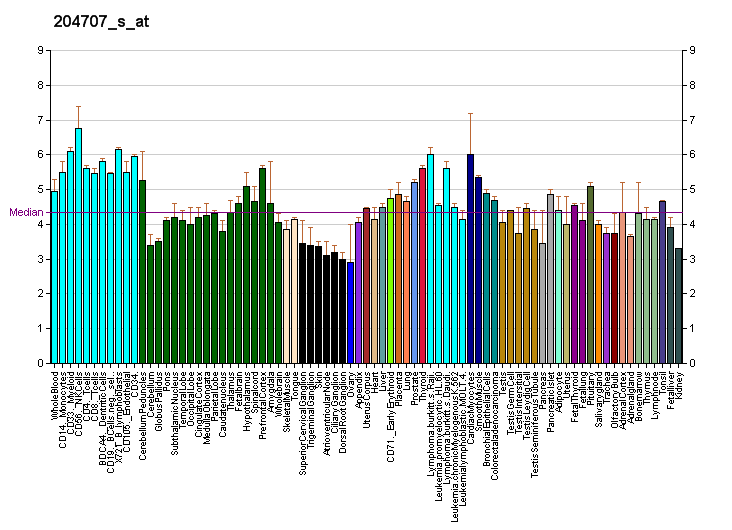 File:PBB GE MAPK4 204707 s at fs.png