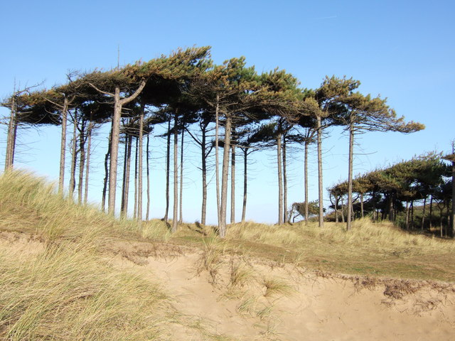 File:Formby - Formby Hills.jpg