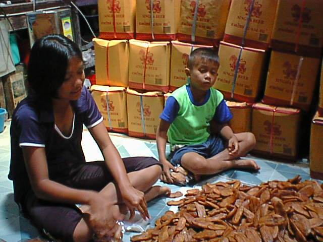 File:02 Dam and Jaras packing Bananas.jpg