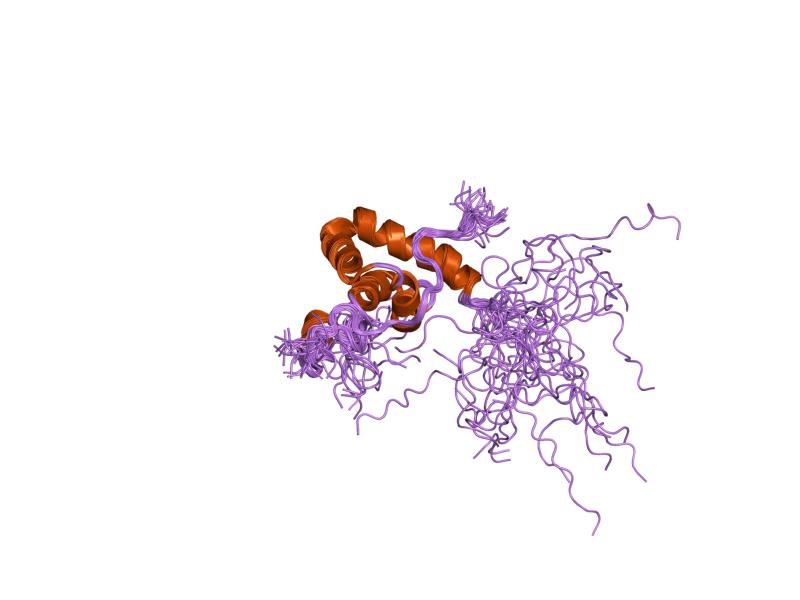 File:PDB 1jh4 EBI.jpg