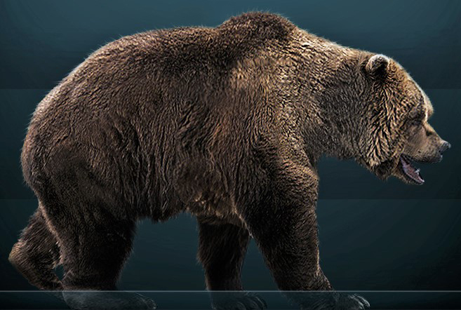 Файл:Ursus spelaeus Sergiodlarosa.jpg