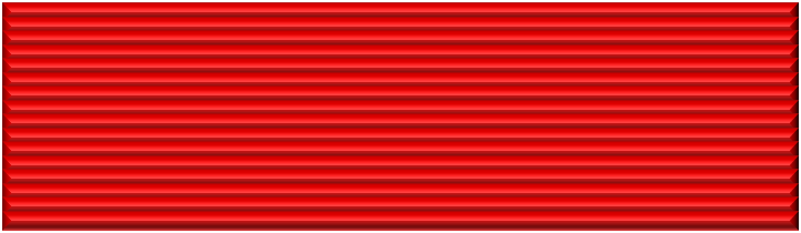 File:Vietnam Hero ribbon.png