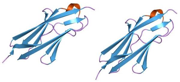 File:PDB 1g1c EBI.jpg