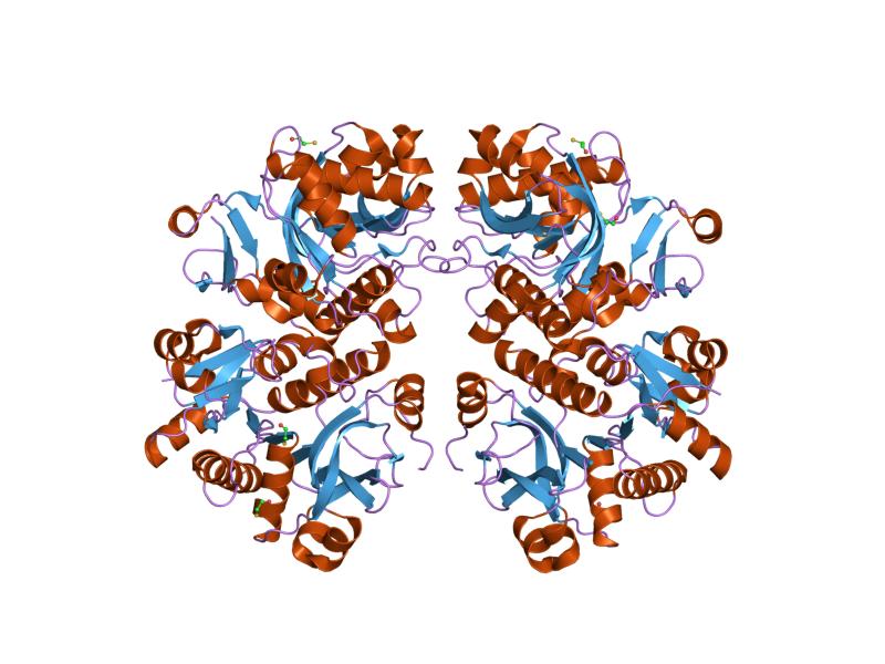 File:PDB 1l9x EBI.jpg