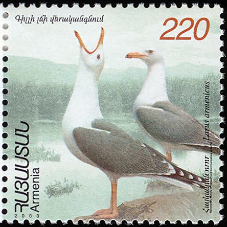 File:Larus armenicus stamp.jpg