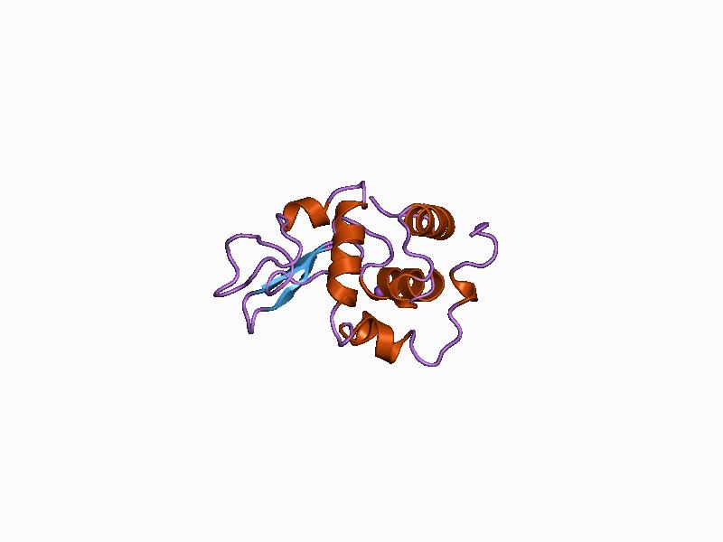 File:PDB 1b7m EBI.jpg