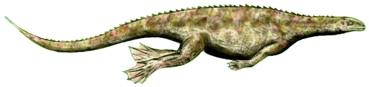 Файл:Claudiosaurus white background.jpg