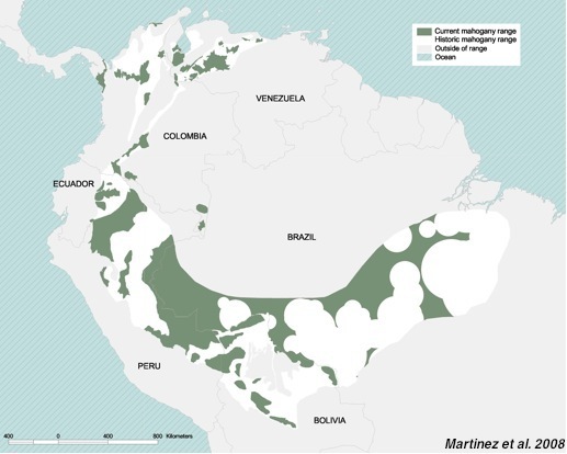 File:Current range of big-leaf mahogany in South America.jpg