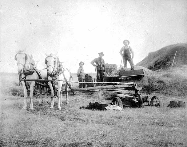 File:Horses baling straw, Burnsville..jpg