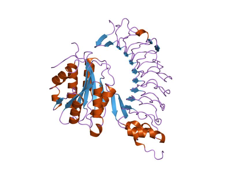 File:PDB 1sq0 EBI.jpg