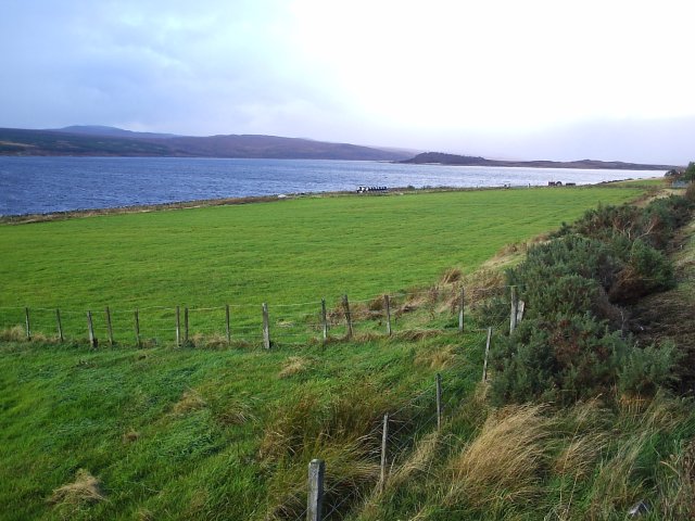 Файл:Loch Shin - geograph.org.uk - 76524.jpg