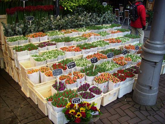 File:Amsterdam Bloemenmarkt.JPG