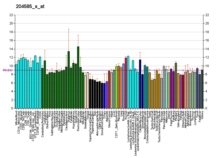 File:PBB GE L1CAM 204585 s at fs.png