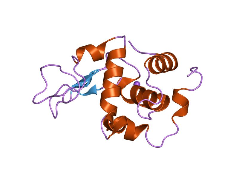 File:PDB 1gfr EBI.jpg