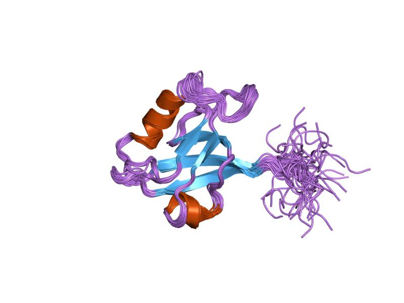 File:PDB 1wha EBI.jpg