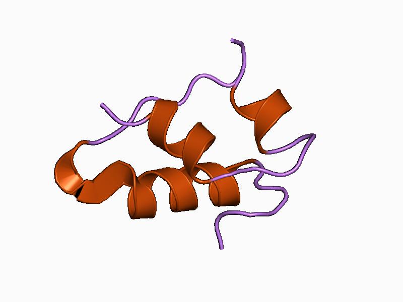 File:PDB 1b2f EBI.jpg