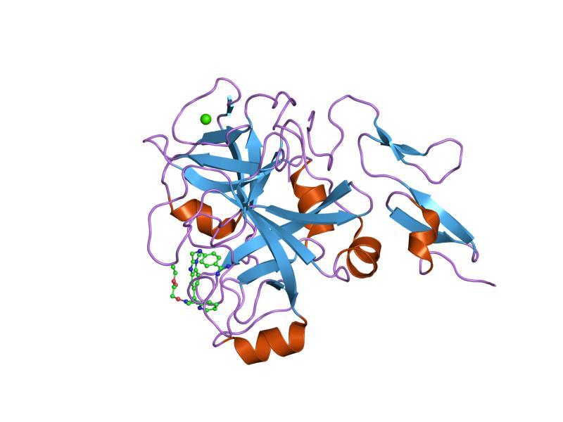 File:PDB 1g2l EBI.jpg