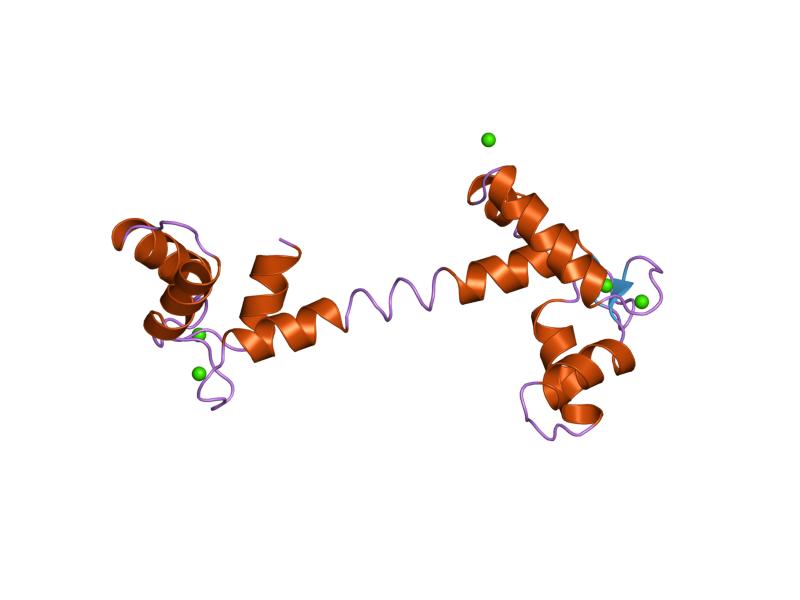 File:PDB 1tcf EBI.jpg