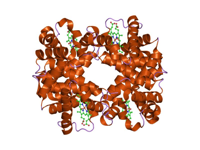 File:PDB 1yie EBI.jpg