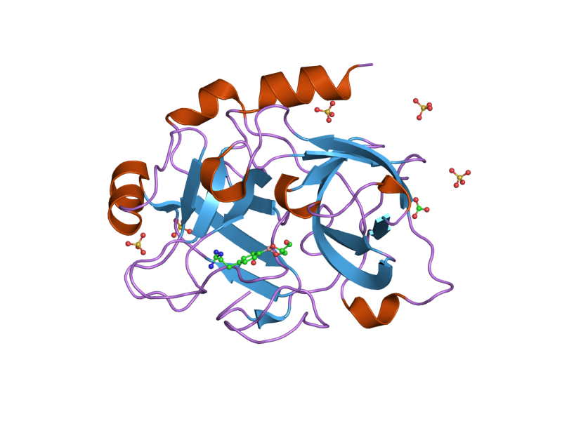 File:PDB 1zml EBI.png