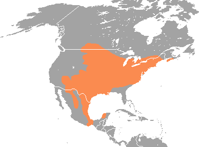 File:Peromyscus leucopus range map.png