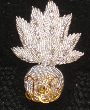 File:HAC Officers Forage Cap Badge.jpg