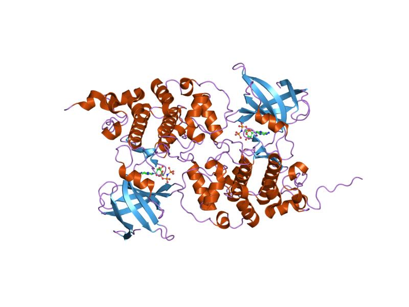 File:PDB 1j1b EBI.jpg