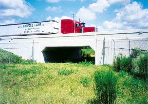 Archivo:Bear underpass écoducOurs.jpg