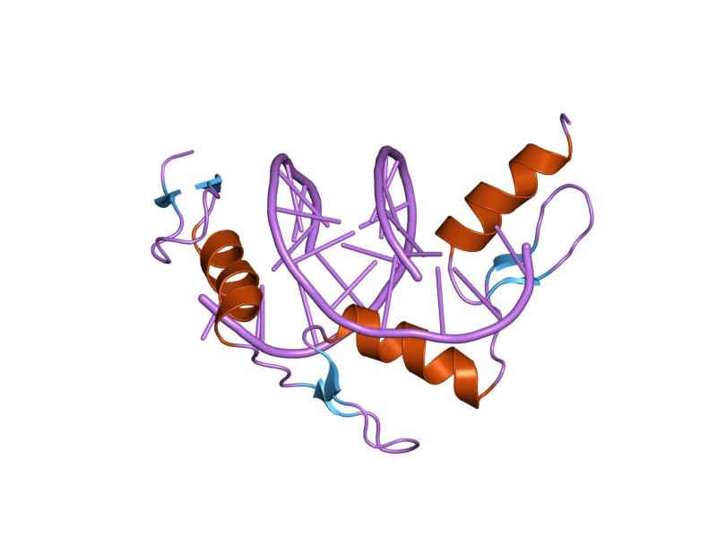 File:PDB 1jk2 EBI.jpg