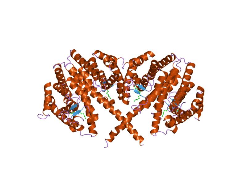 File:PDB 1m7w EBI.jpg