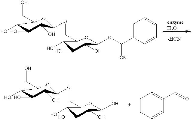 Файл:Amigdaline hydrolysis.jpg