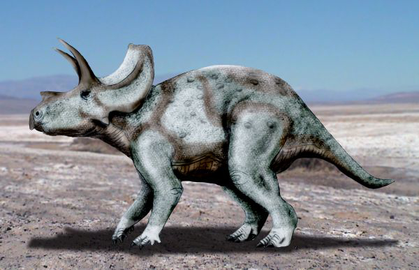 File:Ojoceratops NT.jpg