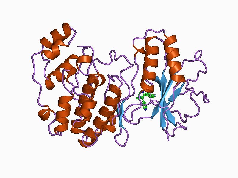 File:PDB 1bl6 EBI.jpg