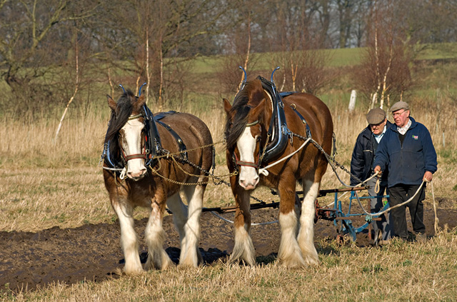 File:Rainford - Fir Tree Farm. Kings Moss.jpg