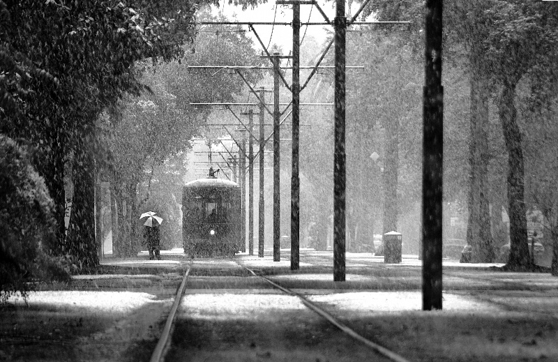 File:Snow in New Orleans by evreniz.jpg