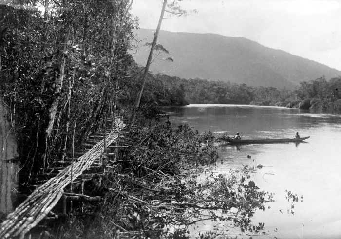 Файл:COLLECTIE TROPENMUSEUM Pad langs drijfvlak Larona Celebes TMnr 10007791.jpg