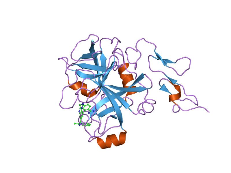 File:PDB 1g2m EBI.jpg