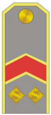 Файл:Armenische Legion 1942-1944 - Gndapet (shoulder mark).gif