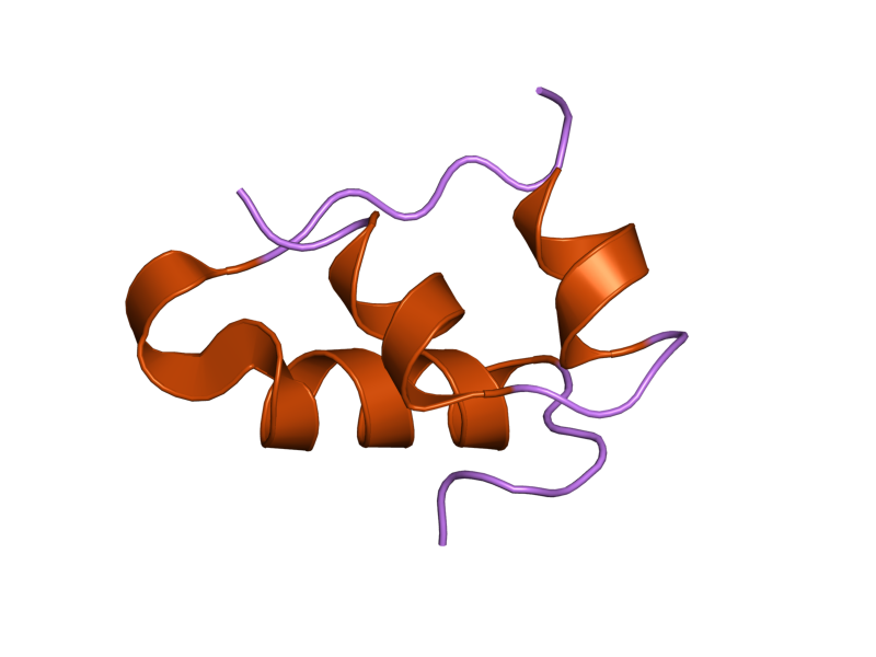 File:PDB 2bn1 EBI.png