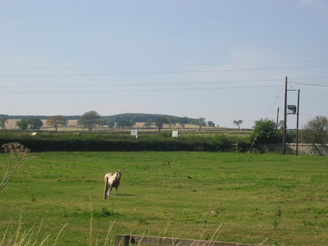 File:Horse paddocks, Edgehead. - geograph.org.uk - 49117.jpg