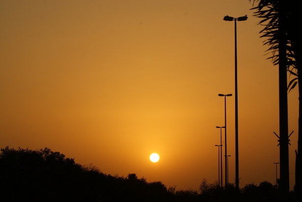 File:Al Ain Zoo Sunset.JPG