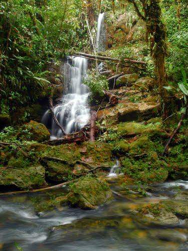 File:Cascada en la reserva el fin del mundo.jpg